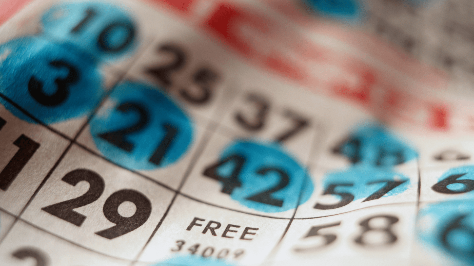 Segala-galanya Tentang Kad dan Panggilan Bingo Dalam Talian image