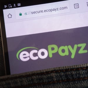 Ecopayz untuk Deposit dan Pengeluaran Kasino Dalam Talian