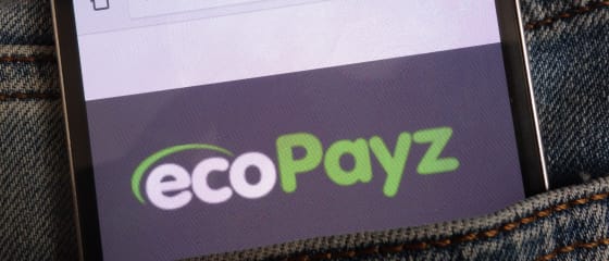 Ecopayz untuk Deposit dan Pengeluaran Kasino Dalam Talian
